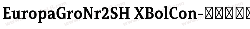 EuropaGroNr2SH XBolCon字体转换